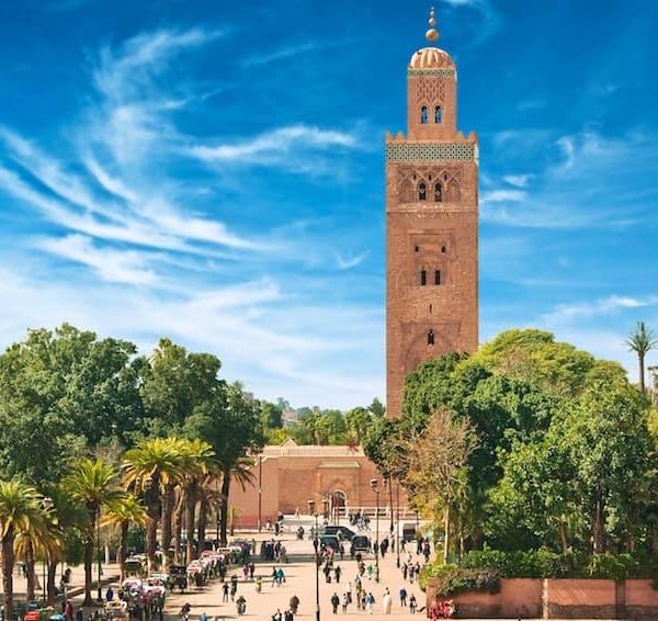 Balade à dos de chameau dans la palmeraie de Marrakech lors d’une excursion guidée
