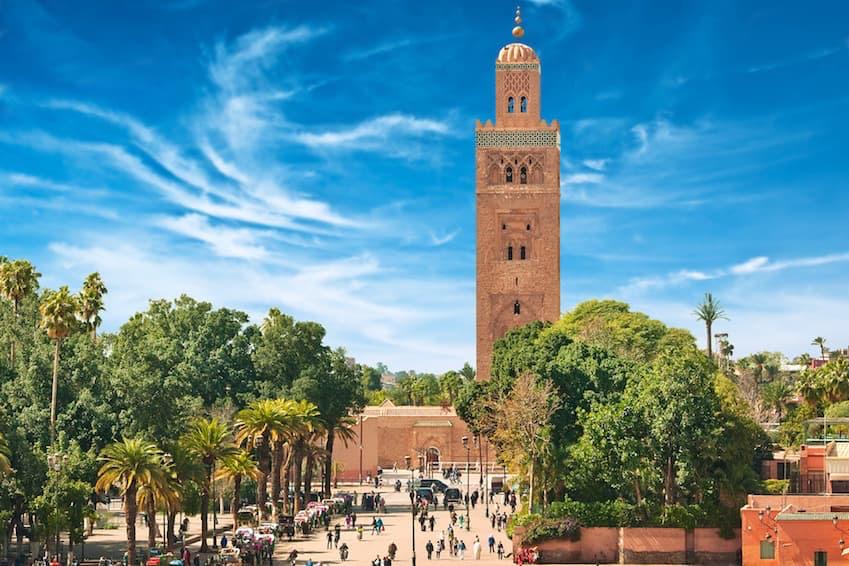 Balade à dos de chameau dans la palmeraie de Marrakech lors d’une excursion guidée
